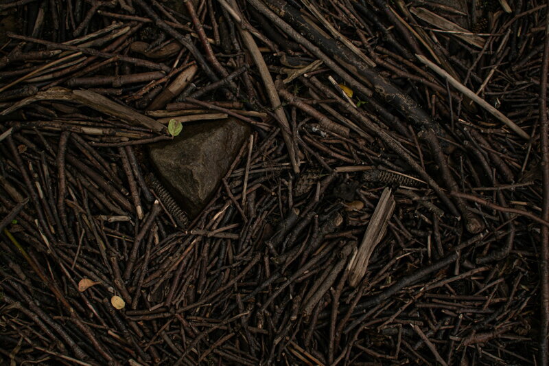 Drevo do vyvýšeného záhonu